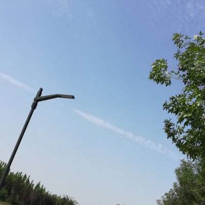 徒手游官方版下载